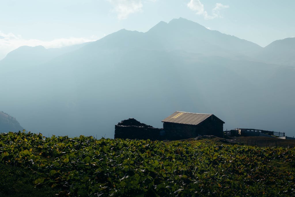 A barn sits on a hillside with mountains in the background