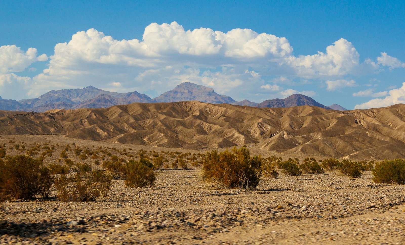 A desert landscape with mountains in the background