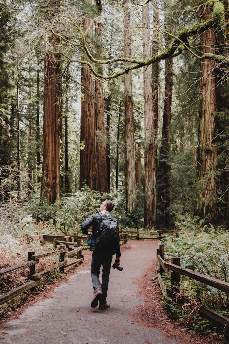 The Ultimate Guide to Trekking the John Muir Trail