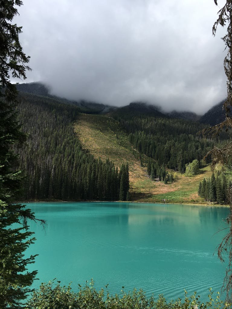 Lake Surrounded by Green Trees and Mountains