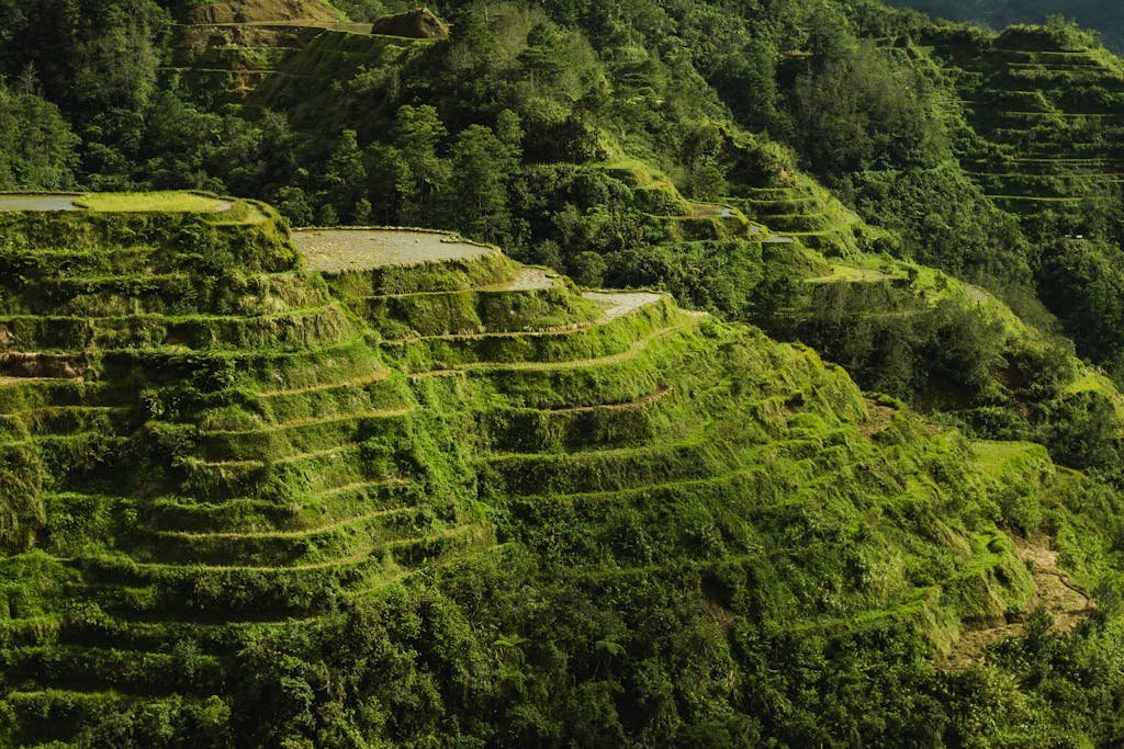 Scenic Photo Of Rice Terraces During Daytime